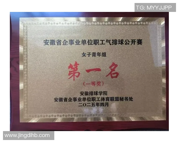 南京排球队在全国排球耐力排行榜中荣获第九名的佳绩引发关注