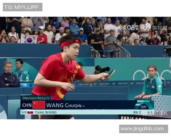 北京乒乓球队在锦标赛中的战术运用与表现分析